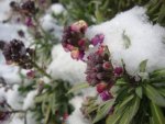 DSC05094.JPG