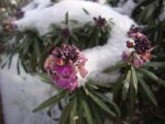 DSC05097.JPG