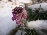 DSC05099.JPG