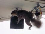 DSC05120.JPG