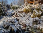 DSC05207.JPG
