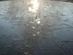 DSC05204.JPG