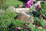 Front yard water feature.jpg