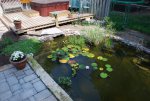 Gardens just starting.jpg