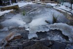 Time to put the pond to bed.jpg