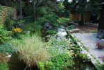 DSC_1442.JPG