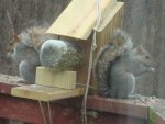 DSC05225.JPG