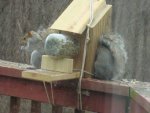 DSC05224.JPG