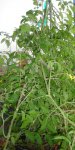 DSC05217.JPG