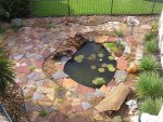 bog and flagstone.jpg bog and flagstone.jpg