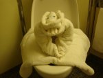 DSC05276.JPG
