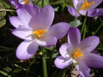 DSC05316.JPG