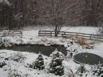 DSC05327.JPG