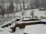 DSC05328.JPG