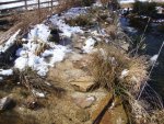 DSC05345.JPG