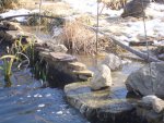 DSC05344.JPG