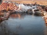 Skim of ice on pond.JPG Skim of ice on pond.JPG