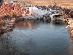 Skim of ice on pond.JPG