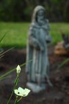 IMG_3676_1024.jpg
