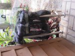 IMG_0366.JPG IMG_0366.JPG