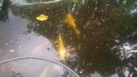 IMG_20130519_172958_066.jpg