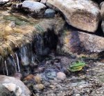 One of many by JenH.jpg One of many by JenH.jpg