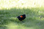 DSC_2139.JPG