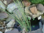 DSC05823.JPG