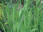 DSC05820.JPG