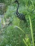 DSC05817.JPG
