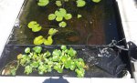 20130611_121138.jpg 20130611_121138.jpg