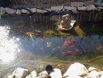 2013-04-07 15.54.59.jpg