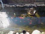 2013-04-07 15.55.02.jpg