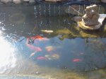 2013-04-07 15.55.13.jpg