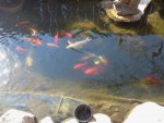 2013-04-07 15.55.18.jpg