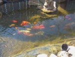 2013-04-07 15.55.29.jpg