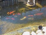2013-04-07 15.55.32.jpg