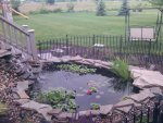 IMG_20130615_151718.jpg