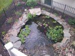 IMG_20130615_150644.jpg