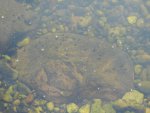 DSCN1539.JPG