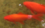 photo.png photo.png