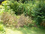 2013-07-01 001.JPG