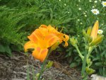 DSC06124.JPG
