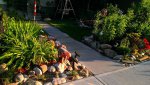 IMAG0102-1.jpg