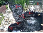 fish pond measurements for plants.jpg