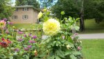 2013-07-15 001.JPG