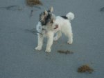 DSC06167.JPG