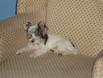 DSC06189.JPG