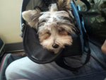20130710_122152_resized.jpg