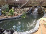 IMG_1330.JPG IMG_1330.JPG